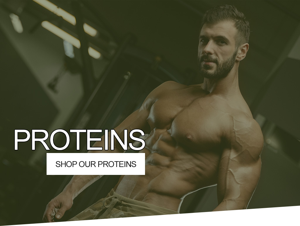proteins-banner